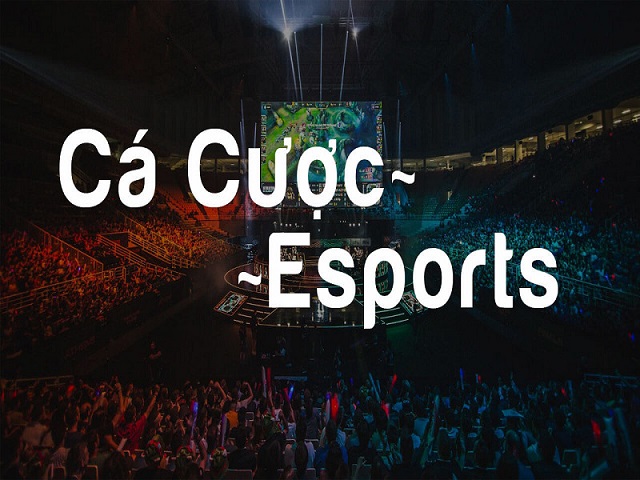 Cá cược esport là gì