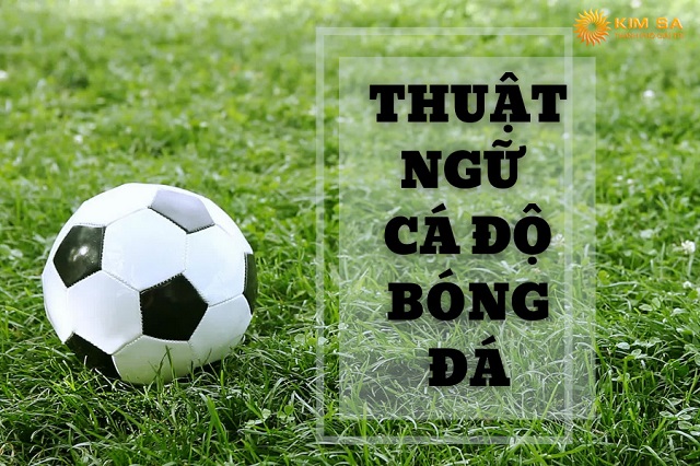 Người chơi cần nắm rõ thuật ngữ trong cá độ
