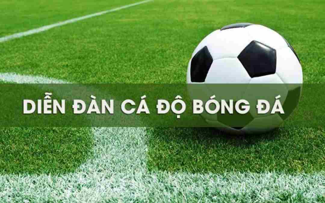 Asianbookie là diễn đàn cá cược nổi tiếng tại Việt Nam