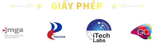 giấy phép 8kbet