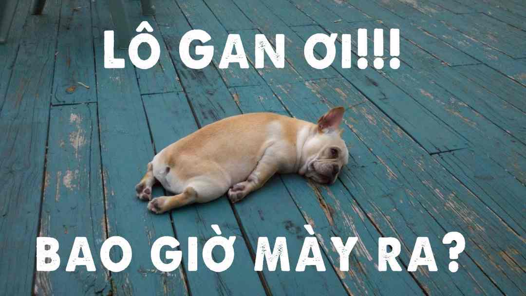 Soi lô khan như nào mới hiệu quả